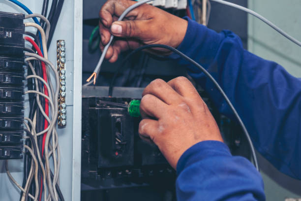 Best Licensed Electrician  in Leona Valley, CA