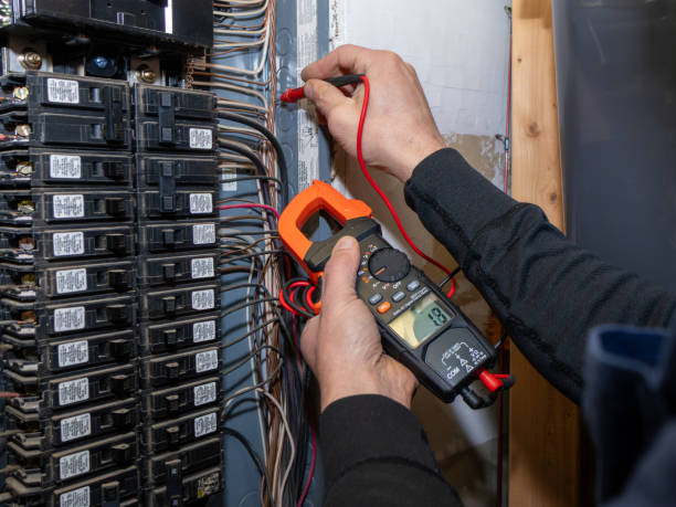 Best Electric Panel Repair  in Leona Valley, CA